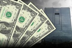 مسیر تازه تأمین ارز واردکنندگان/ «گام ویژه» جای بخشی از نقدینگی را می‌گیرد