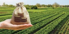 تأمین مالی زنجیره نهاده‌های کشاورزی با اوراق گام در خراسان رضوی