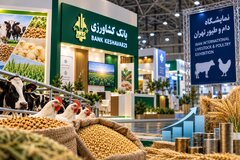 برآورد ١٣٠ همتی  نیاز نقدینگی صنعت دام و طیور/ درخواست تمدید شش‌ماهه «نوی‌پو»